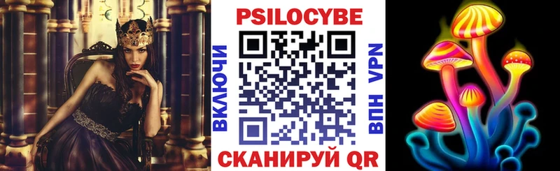 Купить где  Северодвинск  Галлюциногенные грибы Cubensis